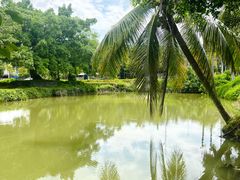 -兴隆槟榔园休闲农庄