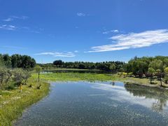 -东郊湿地公园