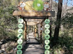 -大岭沟猕猴桃谷风景区