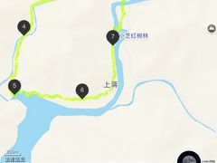 -小芝红树林