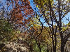 -玉渡山自然风景区