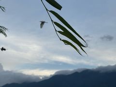 -大理洱海