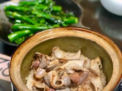 -红星光发煲仔饭(文海店)