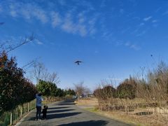 -金谷域澳洲庄园