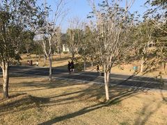 -牛岗山公园