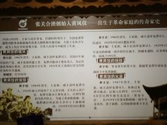 菜单-张关合渣(航空大道店)