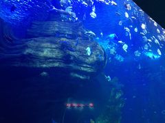 -多彩贵州城极地海洋世界