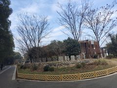 -同里国家湿地公园