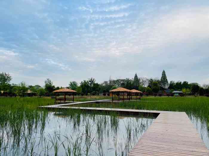 扬州凤凰岛湿地公园-"地方大,游乐实施旧了点,亲子游还行.