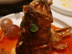 -松鹤楼·非遗·苏帮菜(融科店)