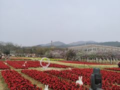 -盈香心动乐园