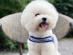 -北化机爱工场文化科技融合产业园