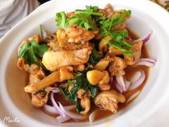 -墨脱石锅椰子鸡•香草鸭•东山羊(大东海店)