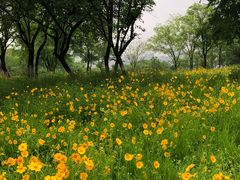 -盘龙城国家考古遗址公园