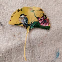 -Oasis Beauty水磨坊科技美肤中心