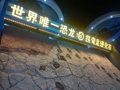 -诸城市恐龙博物馆