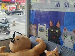-芭比堂动物医院·心脏科·老年急重症·夜诊·吉雅分院
