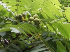 -丹东市五龙山风景区