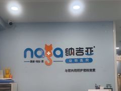 -纳吉亚猫专科动物诊疗中心(蒋宅口分院)