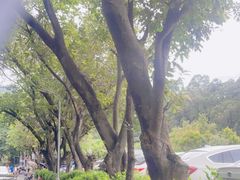 -南海湾森林生态园