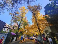 -四川大学(华西校区)