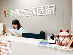 -瑞鹏宠物医院·爱宠堂·骨外专科(西荷分院)