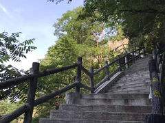 -王顺山国家森林公园
