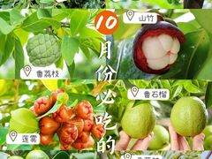 -金鸡岭农贸市场