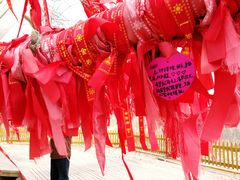 -金塔沙漠胡杨林景区