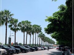 -大湾区中央湿地公园-十九涌