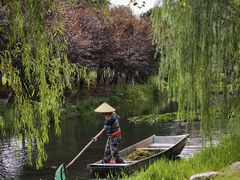 -洋湖国家湿地公园