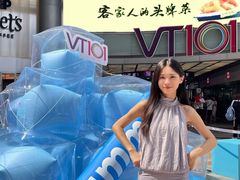 -VT101维多利广场