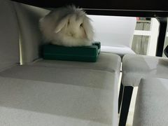 -金色印象·4K影院式足体养生(杨家坪西郊店)