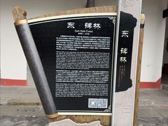 -白帝城·瞿塘峡景区