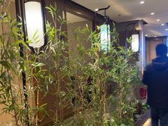 -宏宴·新京菜(望京店)