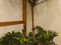 大堂-浮何烤铺(桐梓林店)