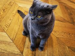 -Me Coffee下午茶艺术空间