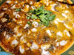 -光海·乡记酸菜鱼·始于1996(花园路店)