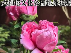 -六和塔文化公园