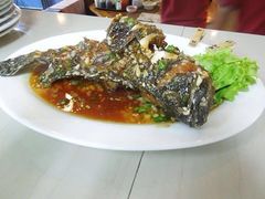 -真浪大家乐海鲜餐馆