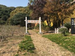 -龙寺生态园