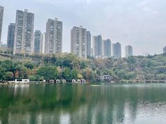 -重庆彩云湖湿地公园