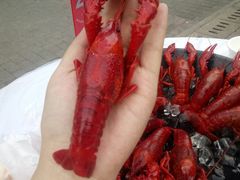 -虾弄弄海派小龙虾·牛羊蝎子火锅