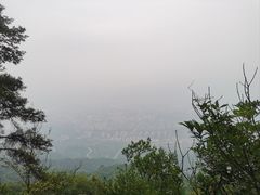 -缙云山景区