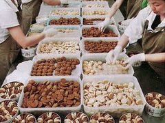 -珍妮曲奇聪明小熊(尖沙咀店)