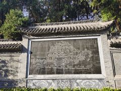 -花洲书院