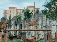 -上海野生动物园