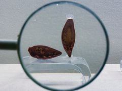 -杭州工艺美术博物馆