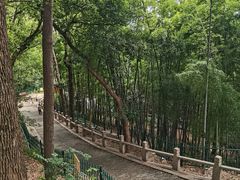 -灵岩山风景区
