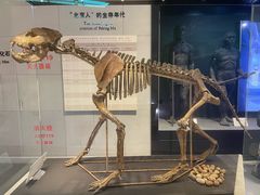 -北京周口店北京人遗址博物馆
